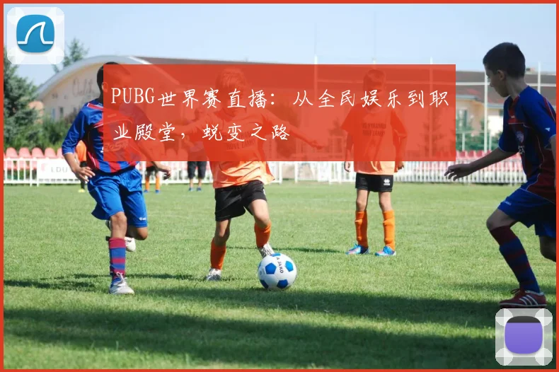 PUBG世界赛直播:从全民娱乐到职业殿堂,蜕变之路